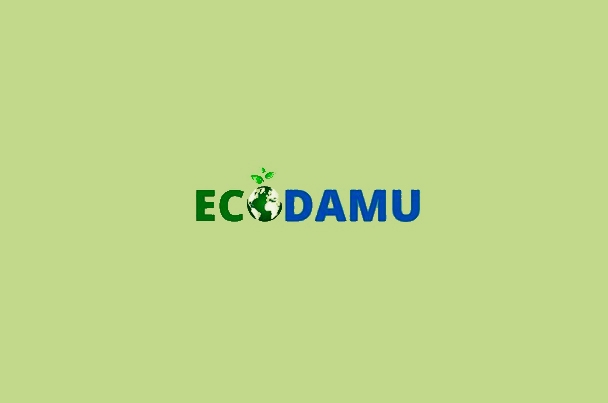 Компания «EcoDamu»