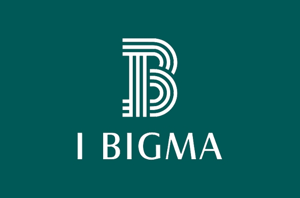 Строительная компания «I-Bigma»