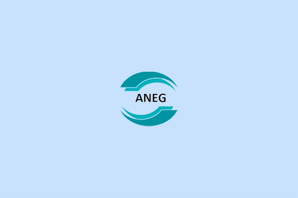 Компания «ANEG»